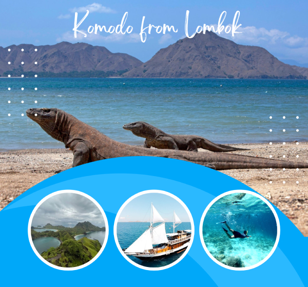 Komodo Tour From Lombok